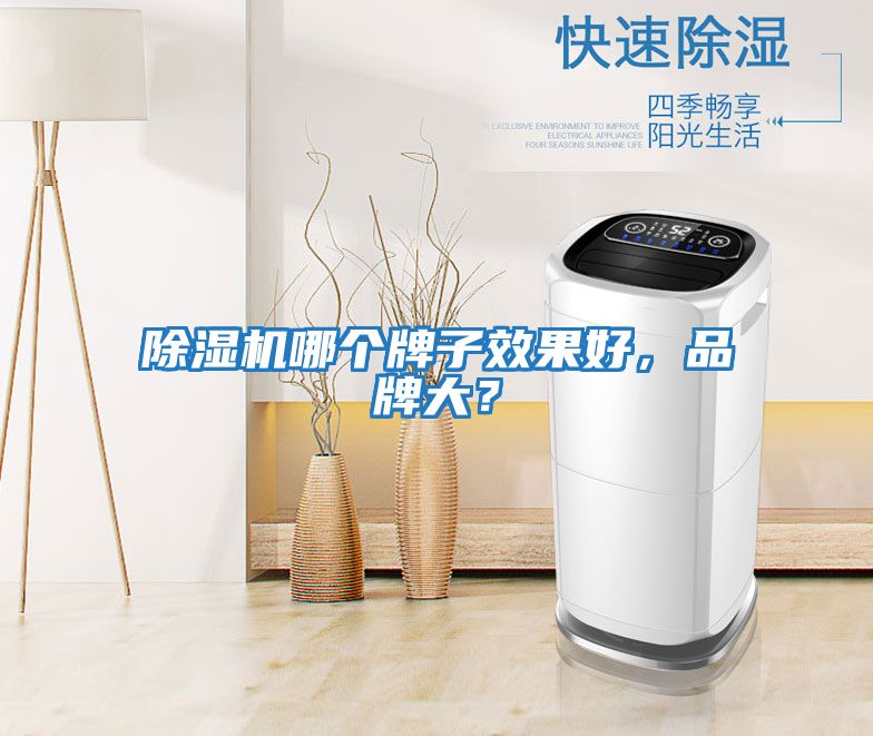 除濕機(jī)哪個(gè)牌子效果好,品牌大?