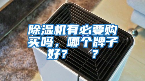 除濕機有必要購買嗎，哪個牌子好？  ？