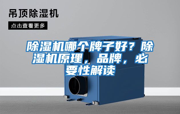 除濕機(jī)哪個(gè)牌子好?除濕機(jī)原理,品牌,必要性解讀