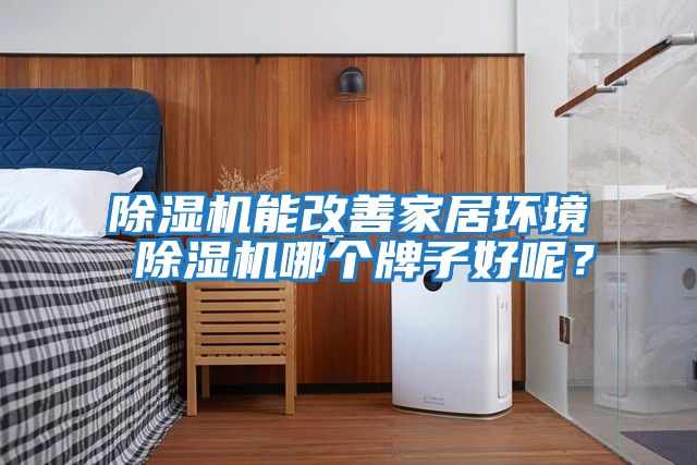除濕機能改善家居環(huán)境 除濕機哪個牌子好呢？