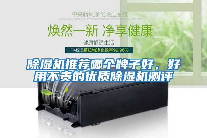 除濕機(jī)推薦哪個(gè)牌子好，好用不貴的優(yōu)質(zhì)除濕機(jī)測評