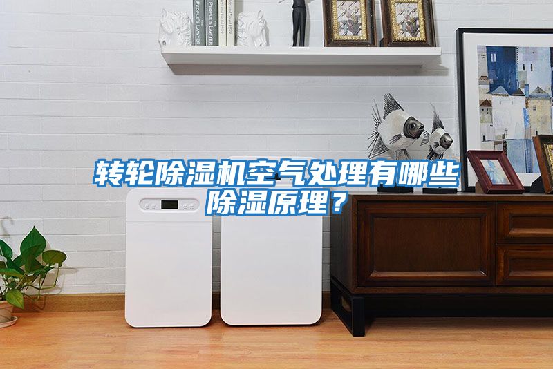 轉輪除濕機空氣處理有哪些除濕原理？