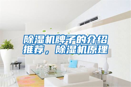 除濕機牌子的介紹推薦，除濕機原理