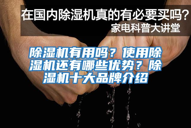 除濕機(jī)有用嗎？使用除濕機(jī)還有哪些優(yōu)勢(shì)？除濕機(jī)十大品牌介紹