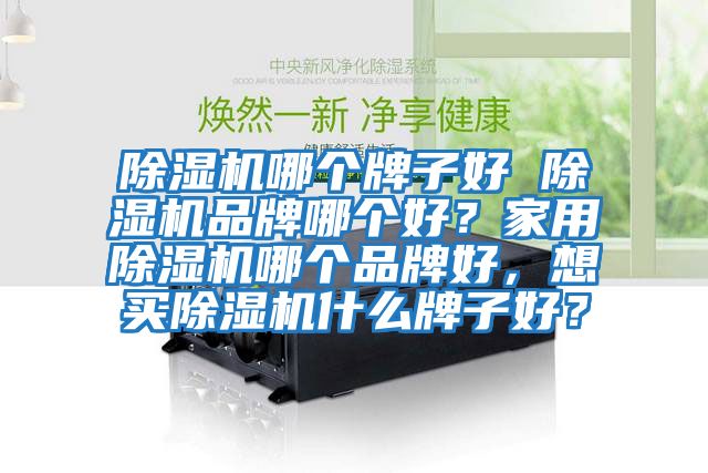 除濕機哪個牌子好 除濕機品牌哪個好？家用除濕機哪個品牌好，想買除濕機什么牌子好？
