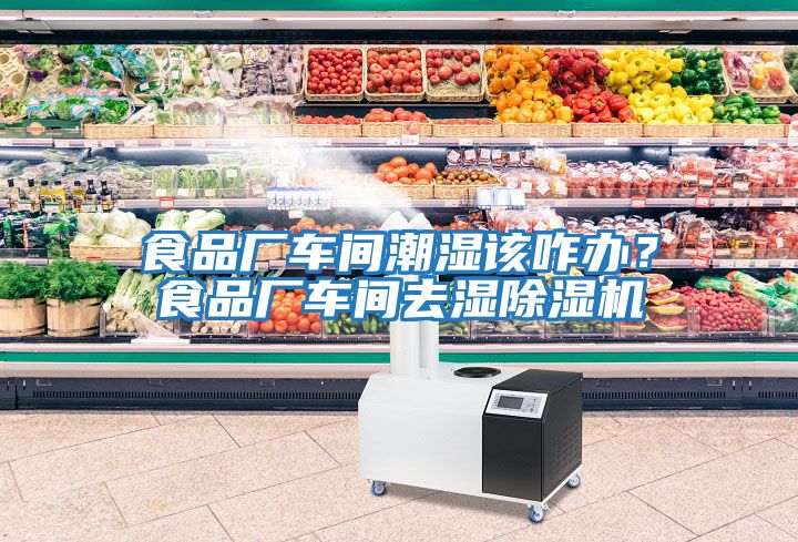 食品廠車間潮濕該咋辦？食品廠車間去濕除濕機
