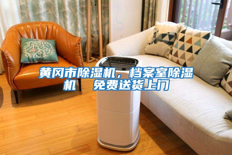 黃岡市除濕機(jī)，檔案室除濕機(jī)  免費(fèi)送貨上門
