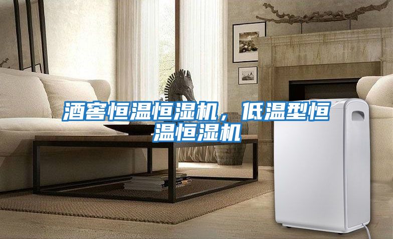 酒窖恒溫恒濕機，低溫型恒溫恒濕機