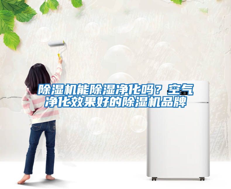 除濕機(jī)能除濕凈化嗎？空氣凈化效果好的除濕機(jī)品牌