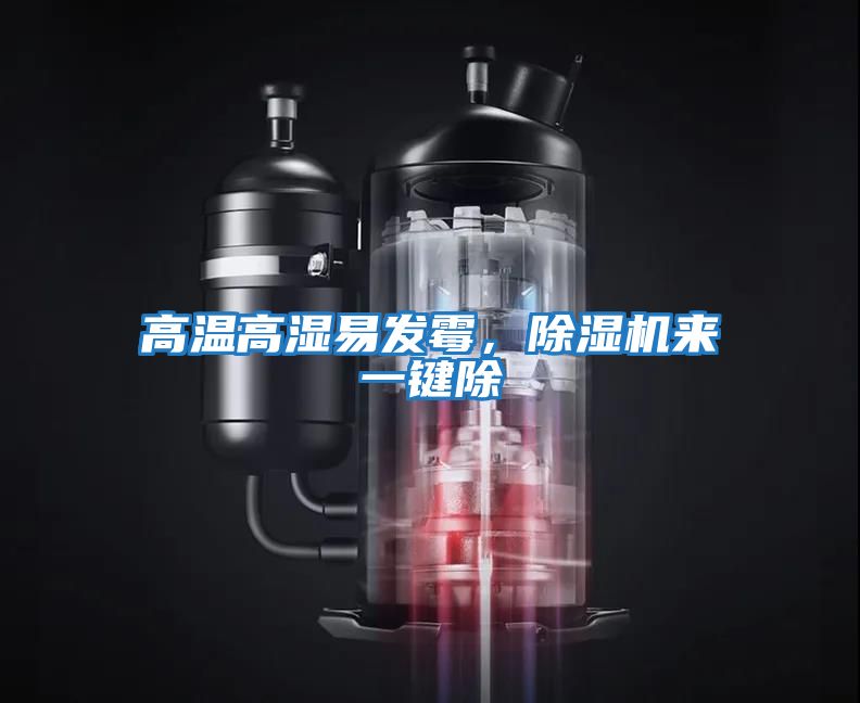 高溫高濕易發霉，除濕機來一鍵除