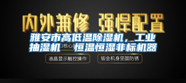 雅安市高低溫除濕機，工業(yè)抽濕機  恒溫恒濕非標(biāo)機器