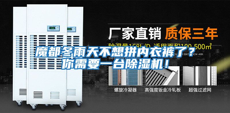 魔都冬雨天不想拼內衣褲了？你需要一臺除濕機！