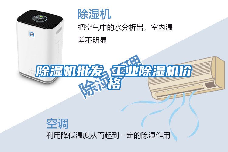 除濕機批發(fā) 工業(yè)除濕機價格