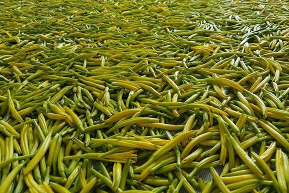無硫金針菜烘干如何保持品相？不發(fā)黑？_除濕機廠家